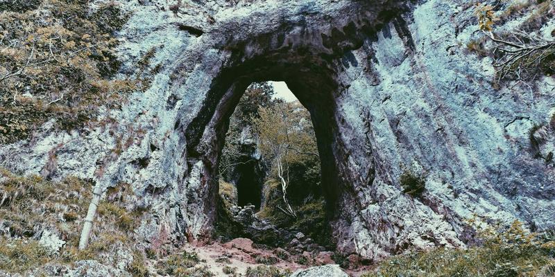 VIP秀36511：探索在线娱乐新纪元，揭秘专业直播平台的沉浸式体验