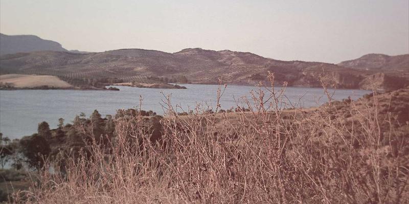 VIP秀36515：深度解析直播平台如何重塑娱乐互动新生态