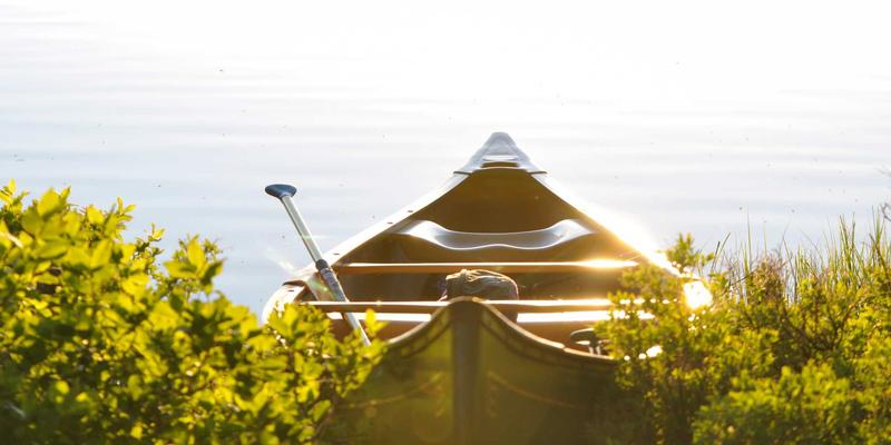 VIP秀36538：重新定义娱乐互动，开启主播互动新纪元