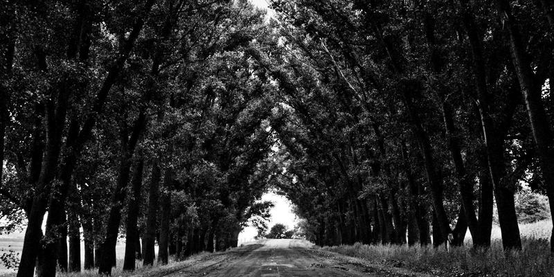 VIP秀36572：重新定义娱乐互动，揭秘主播互动的沉浸式体验