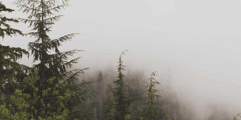 VIP秀365内容审核机制揭秘：AI+人工如何构建高效安全过滤网，保障主播互动与在线娱乐体验