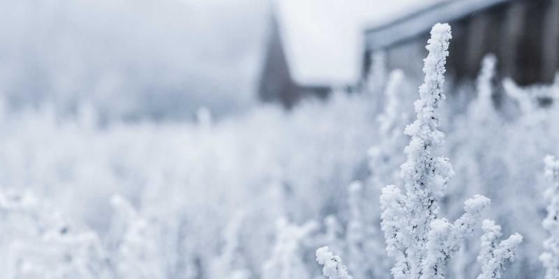 VIP秀365内容审核机制深度剖析：AI识别与人工复核如何重塑视频直播安全新标准