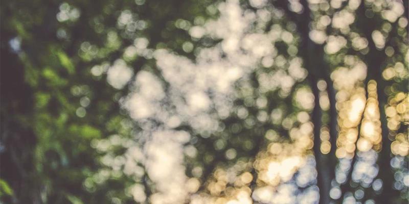 VIP秀365内容审核机制深度解析：AI与人工如何协同守护在线娱乐安全