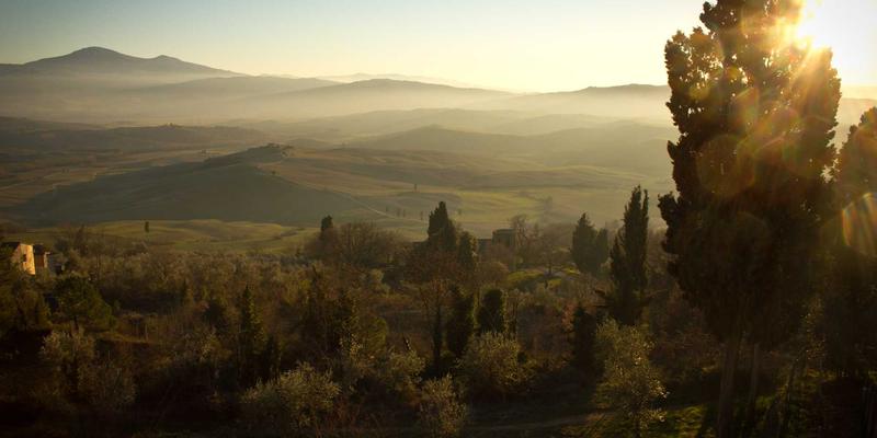 VIP秀365发展解析：主播互动如何重塑在线娱乐直播平台新生态