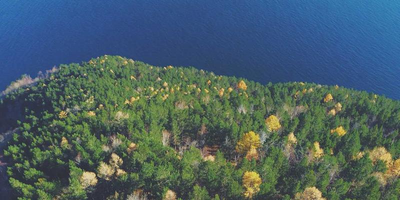 VIP秀365后台管理系统设计解析：如何高效管理海量主播与直播内容