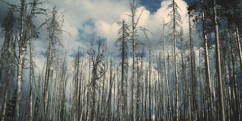 VIP秀365家庭共享账号设置与使用规范：解锁视频直播与娱乐互动新体验