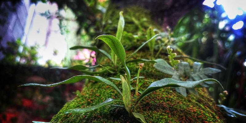 VIP秀365平台安全与隐私全解析：视频直播与在线娱乐如何守护你的数据与支付安全