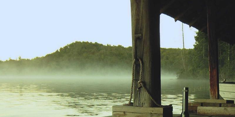 VIP秀365平台社会责任报告：在线娱乐与直播平台的青少年保护与健康娱乐引导