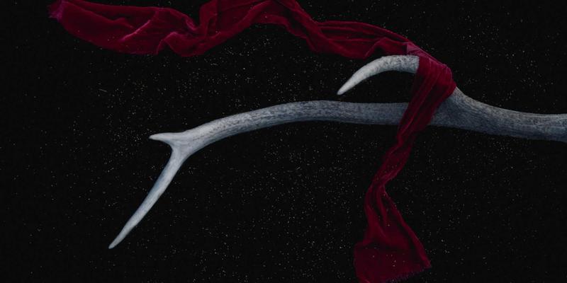 VIP秀365平台社区文化建设：五大核心策略打造高粘性视频直播社群