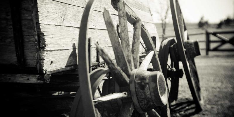 VIP秀365技术架构演进：微服务与弹性计算如何支撑高并发娱乐互动直播