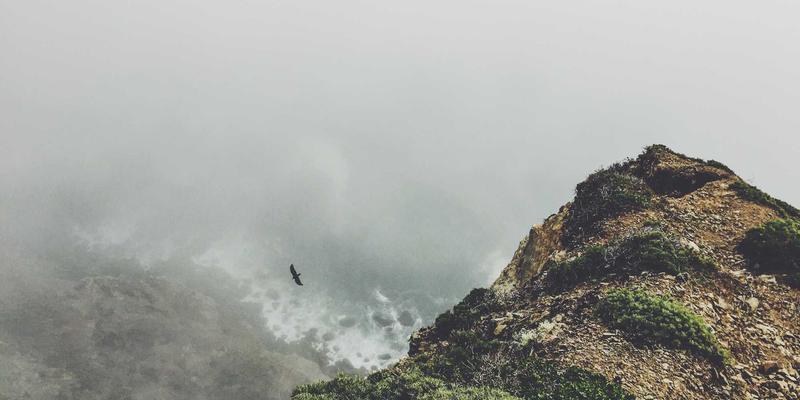 VIP秀365：深度解析直播平台的创新模式与未来趋势