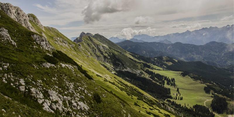 VIP秀365深度评测：视频直播平台如何重塑在线娱乐新体验？