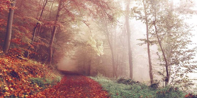 VIP秀365热门剧集与综艺幕后制作花絮：揭秘视频直播平台的创作魔法