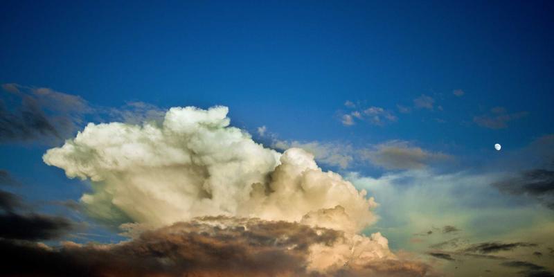 从素人到网红：VIP秀365主播孵化体系如何重塑视频直播成长路径