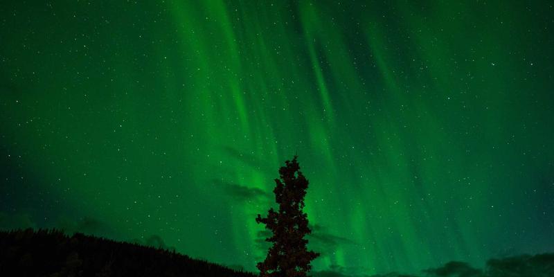 直播平台收入新蓝海：VIP秀365主播如何突破打赏依赖，探索多元化变现模式